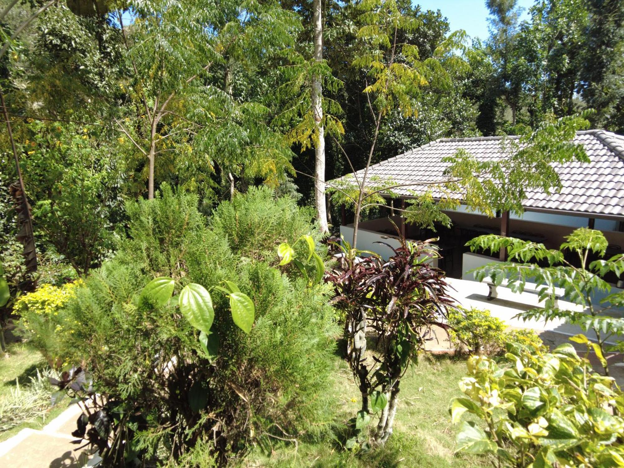 Seattle Garden Resort - Kollihills מראה חיצוני תמונה